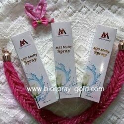 MSI Multy Spray Di Medan